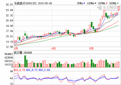 斥資6016萬元  投資大佬鄒瀚樞參與樂凱膠片定增
