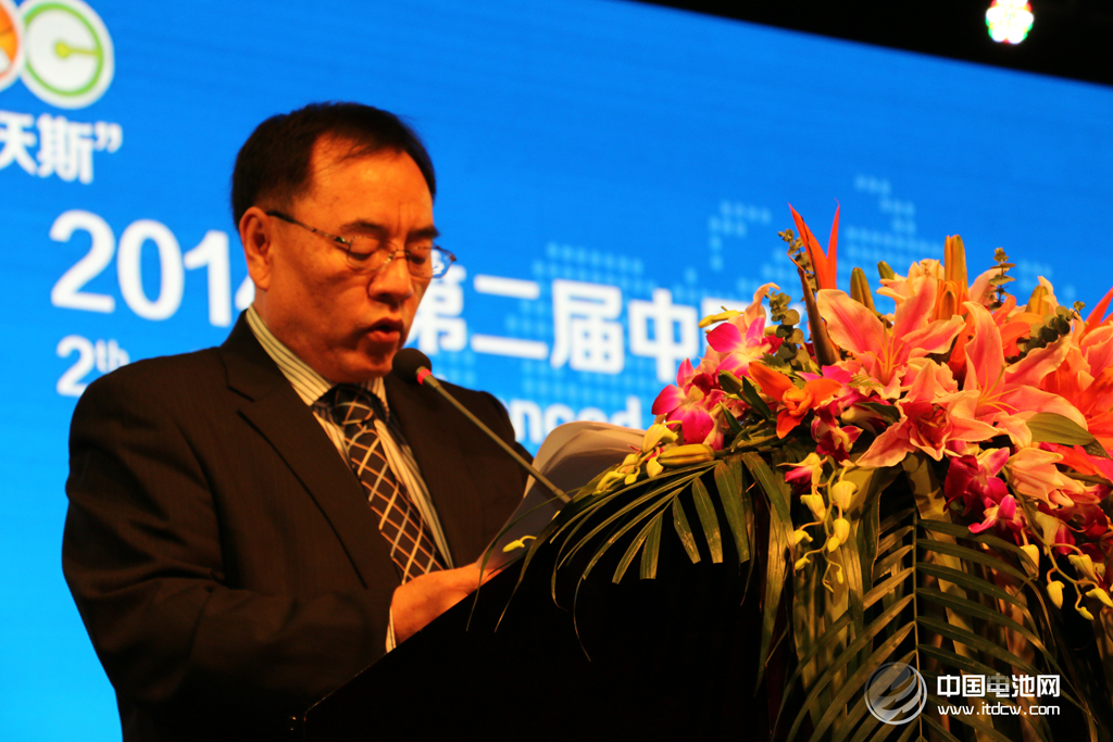 第二屆鋰電“達沃斯”論壇學術委員會主席、北京大學教授其魯