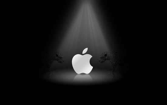 谷歌移動支付斗不過蘋果三星 Android平臺已經是分崩離析