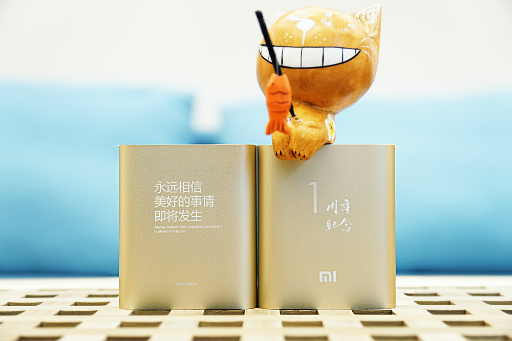 魚(yú)龍混雜 事故頻發(fā) 移動(dòng)電源市場(chǎng)整合還是競(jìng)合？