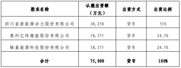 各股東方出資及股權(quán)比例情況