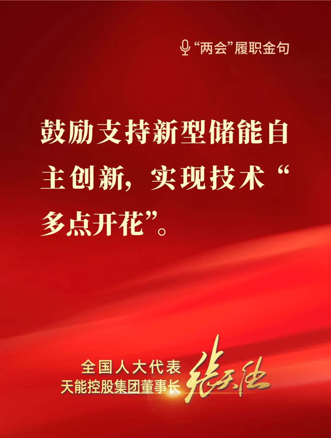 全國人大代表，天能控股集團董事長張天任