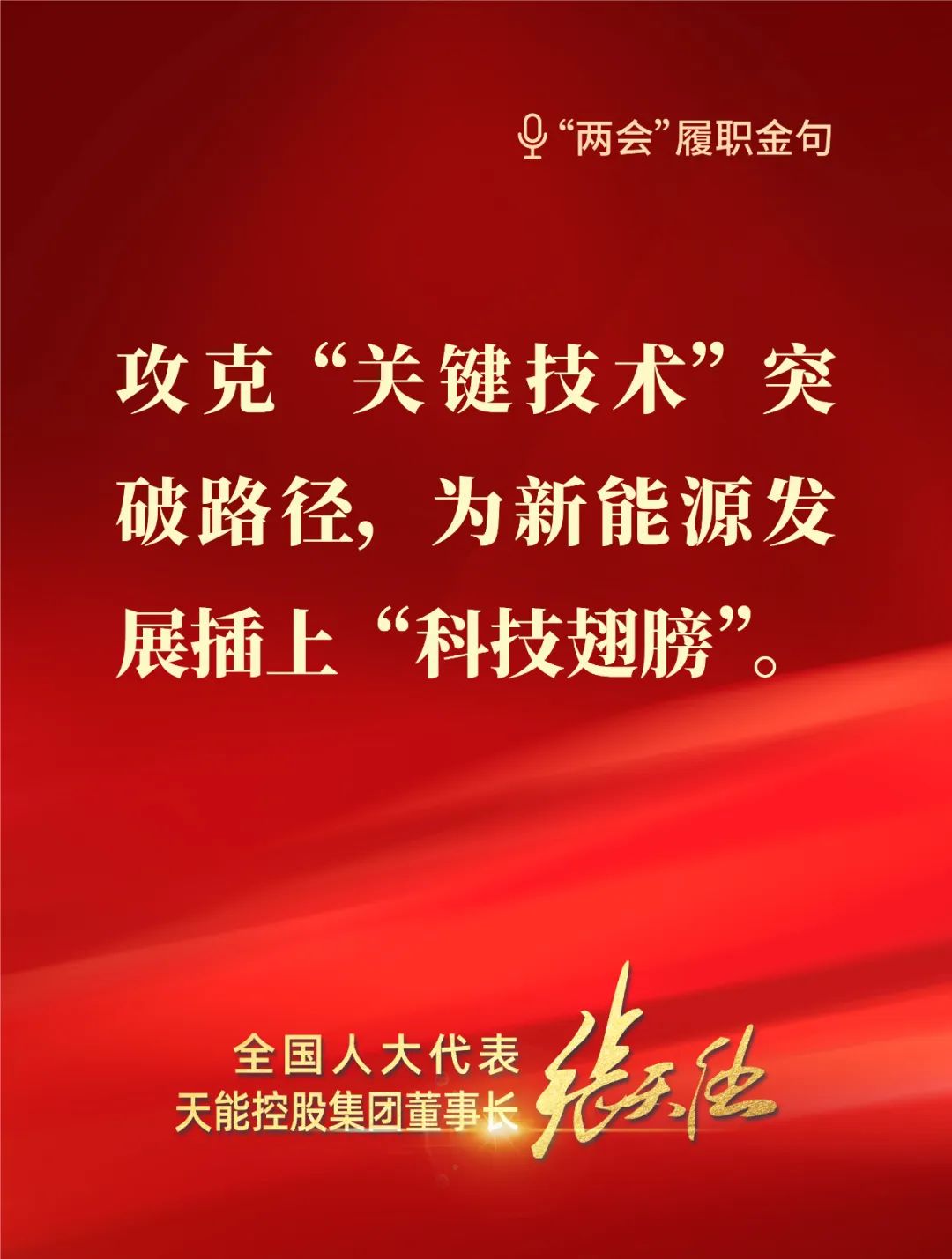 全國人大代表，天能控股集團董事長張天任