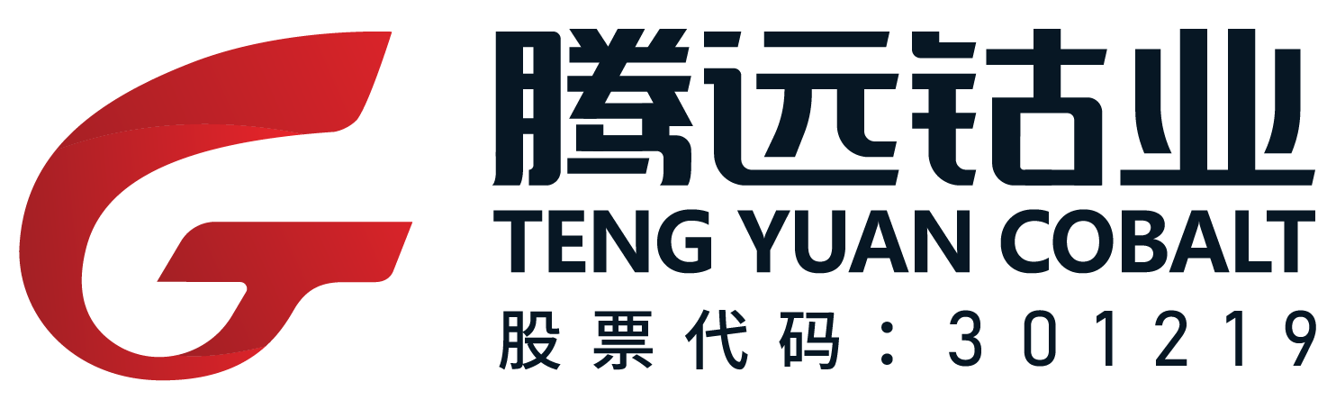第13屆（2023年）中國電池行業優秀供應商：騰遠鈷業